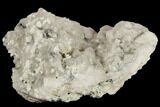 Manganoan Calcite Crystal Cluster - Highly Fluorescent! #187309-1